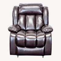 ASJMREYE Power Lift Recliner Chair for Lounge