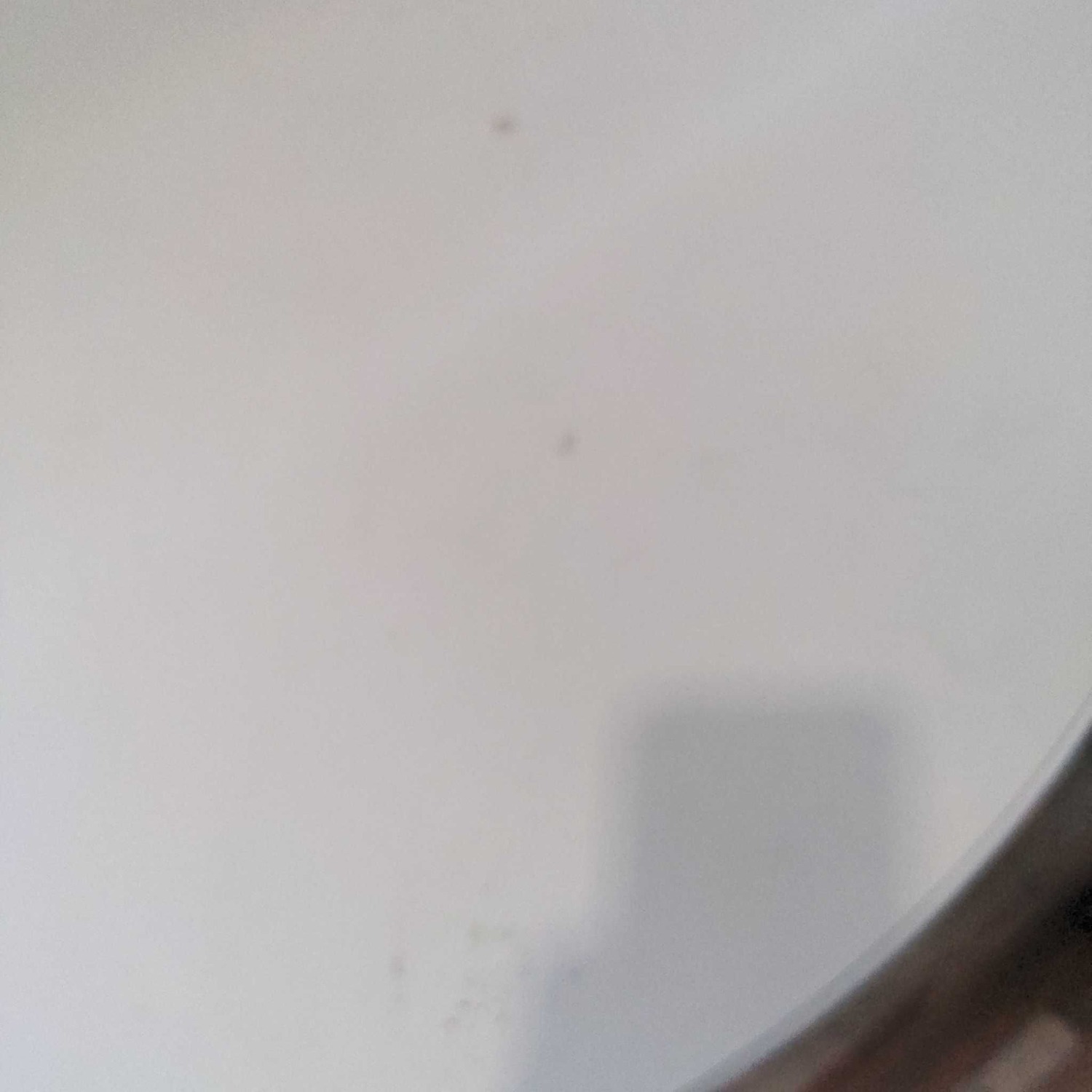 Herman Miller Eames Conference and Dining Table - image-7