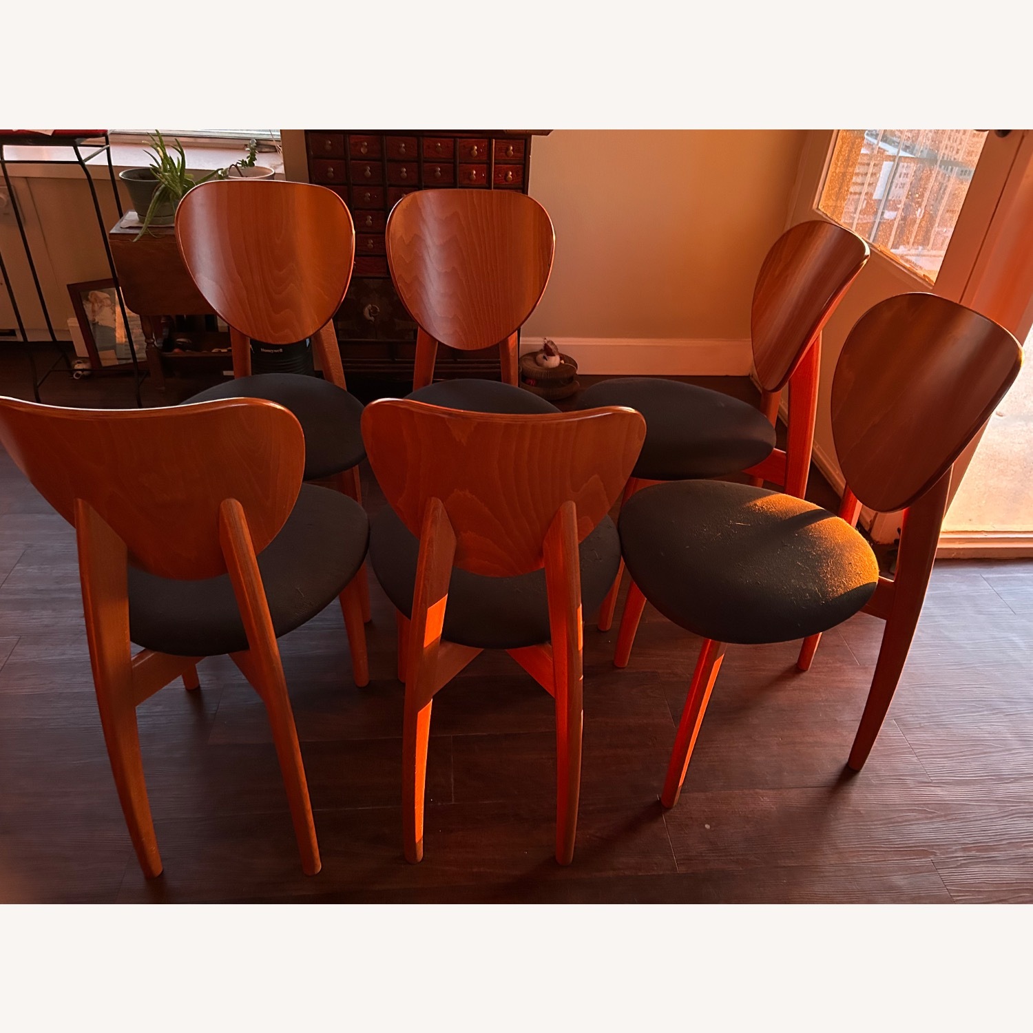 Calligaris Wood Dining Chairs - image-8