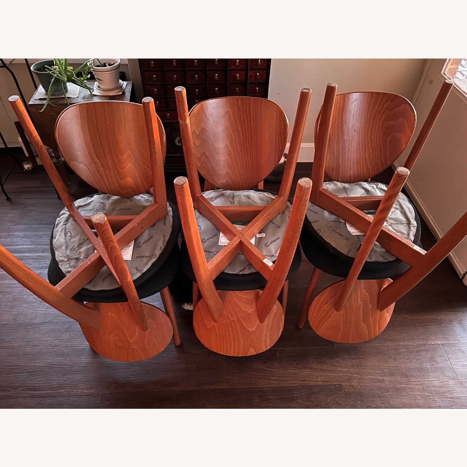 Calligaris Wood Dining Chairs - image-7