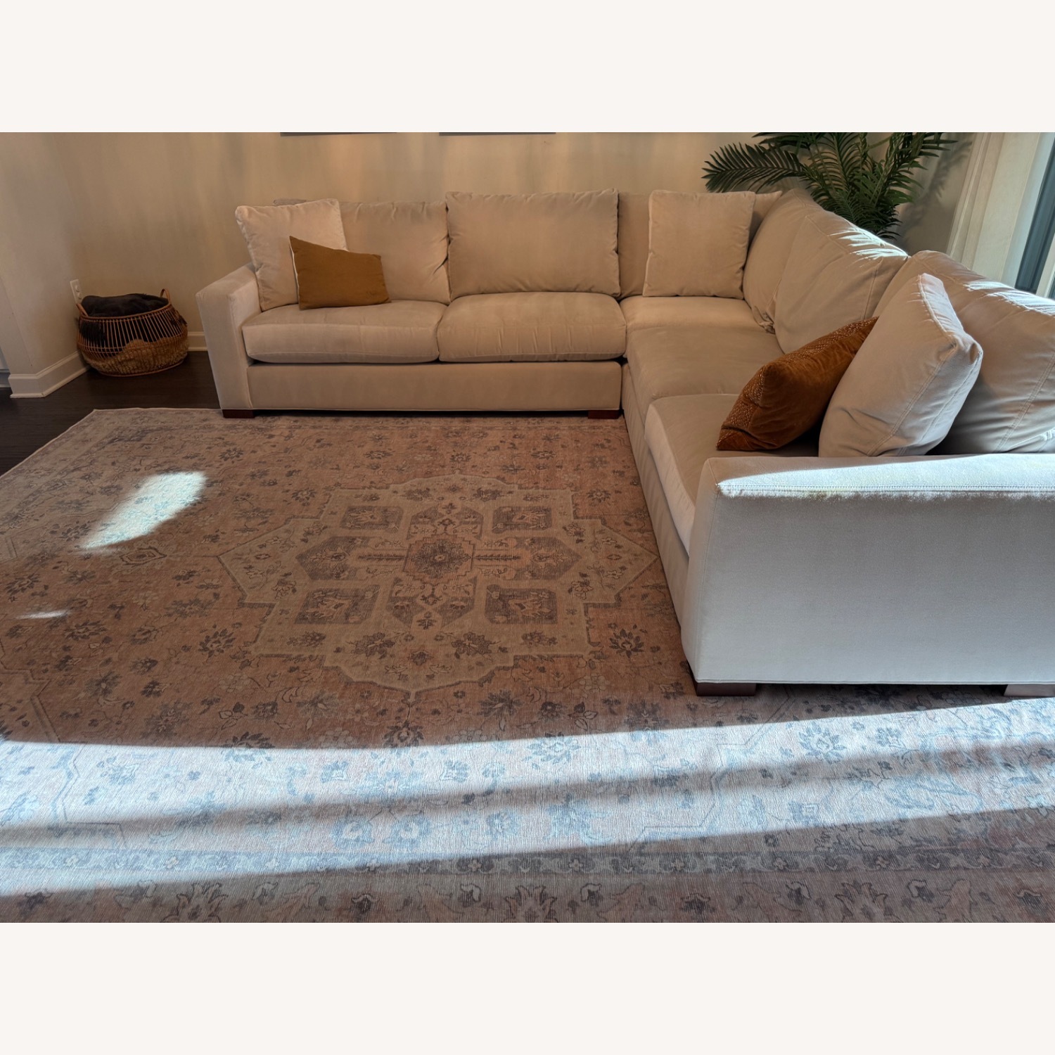 Room & Board Metro Natural Velvet 3+ Piece Sectional - image-12