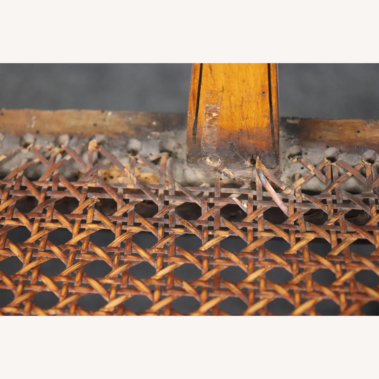 19th Century English Adams Style Cane Seat Settee - image-1