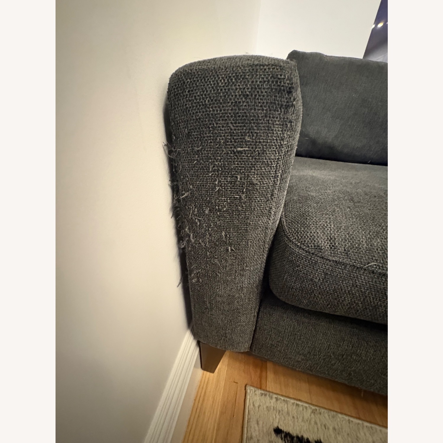 AllModern Light Gray Fabric 2 Seater Sofa - image-3