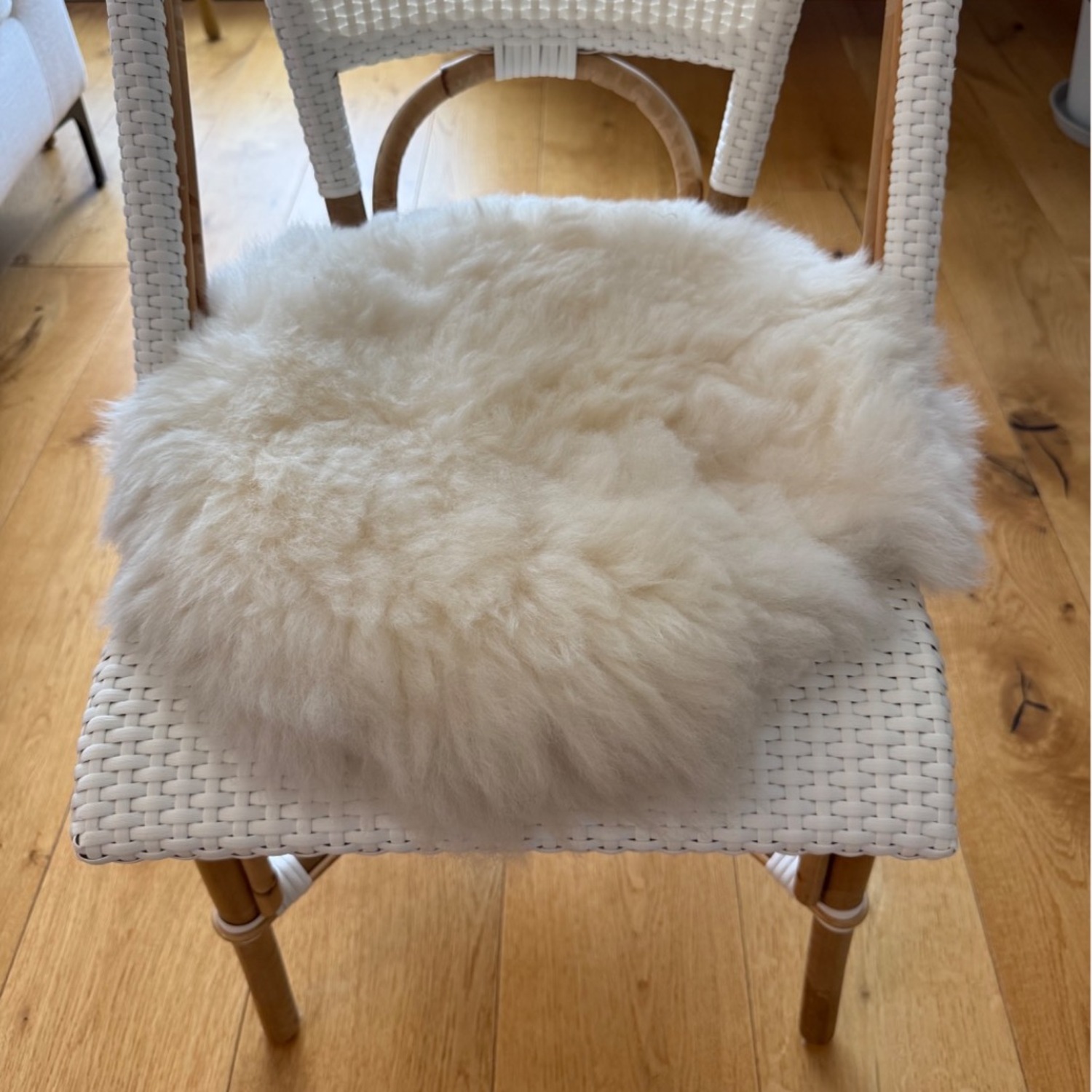 Clic Gallery Cream Sheepskin Chair Cushions - image-3