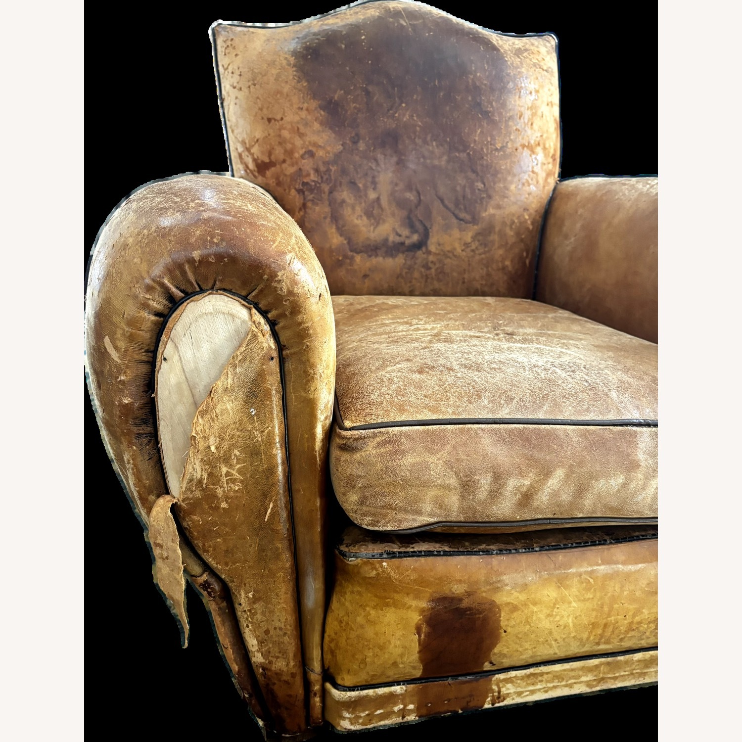 French Leather Mustache Club Chairs - image-5