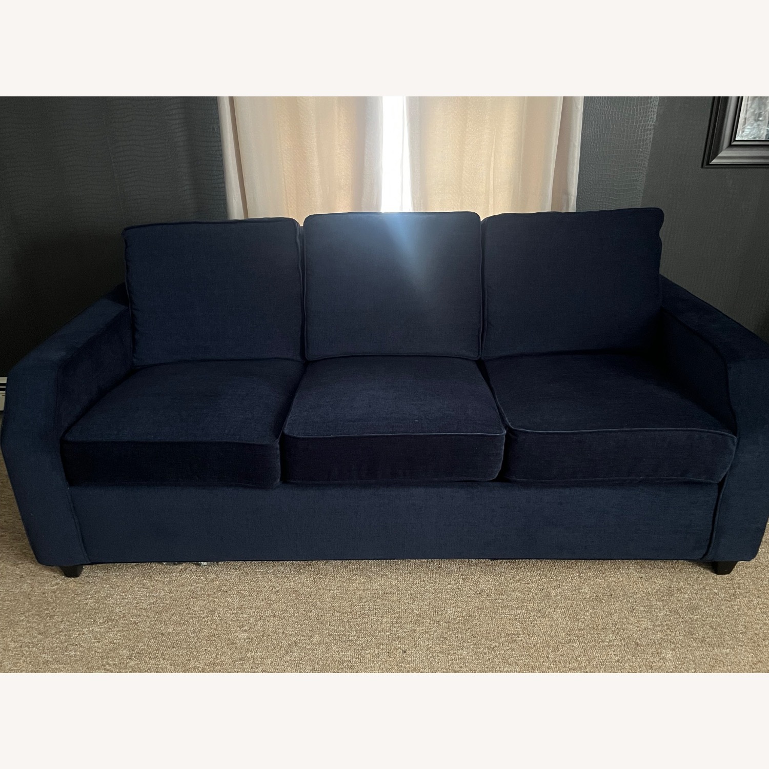 Hamilton Beach Brands Blue Fabric Sleeper Sofa - image-1