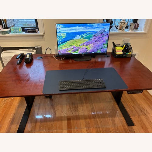 Used Adjustable Bamboo XDesk for sale on AptDeco