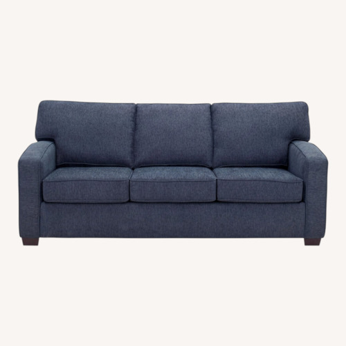Used Gabe Sleeper Sofa for sale on AptDeco