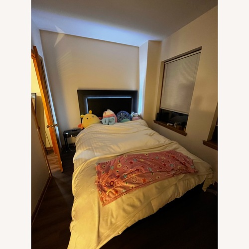 Used Cosmopolitan Queen Black Storage Platform Bed for sale on AptDeco