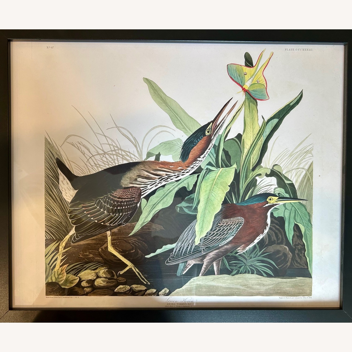 Giclee Print Heron Wall Art - image-2