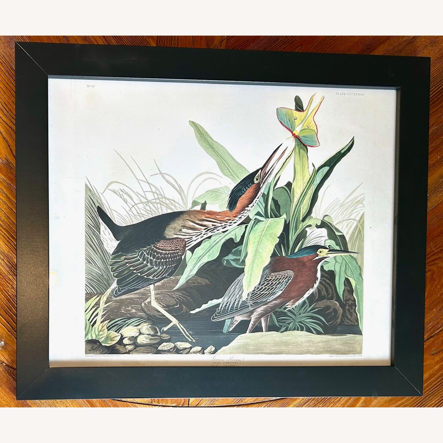 Giclee Print Heron Wall Art - image-1