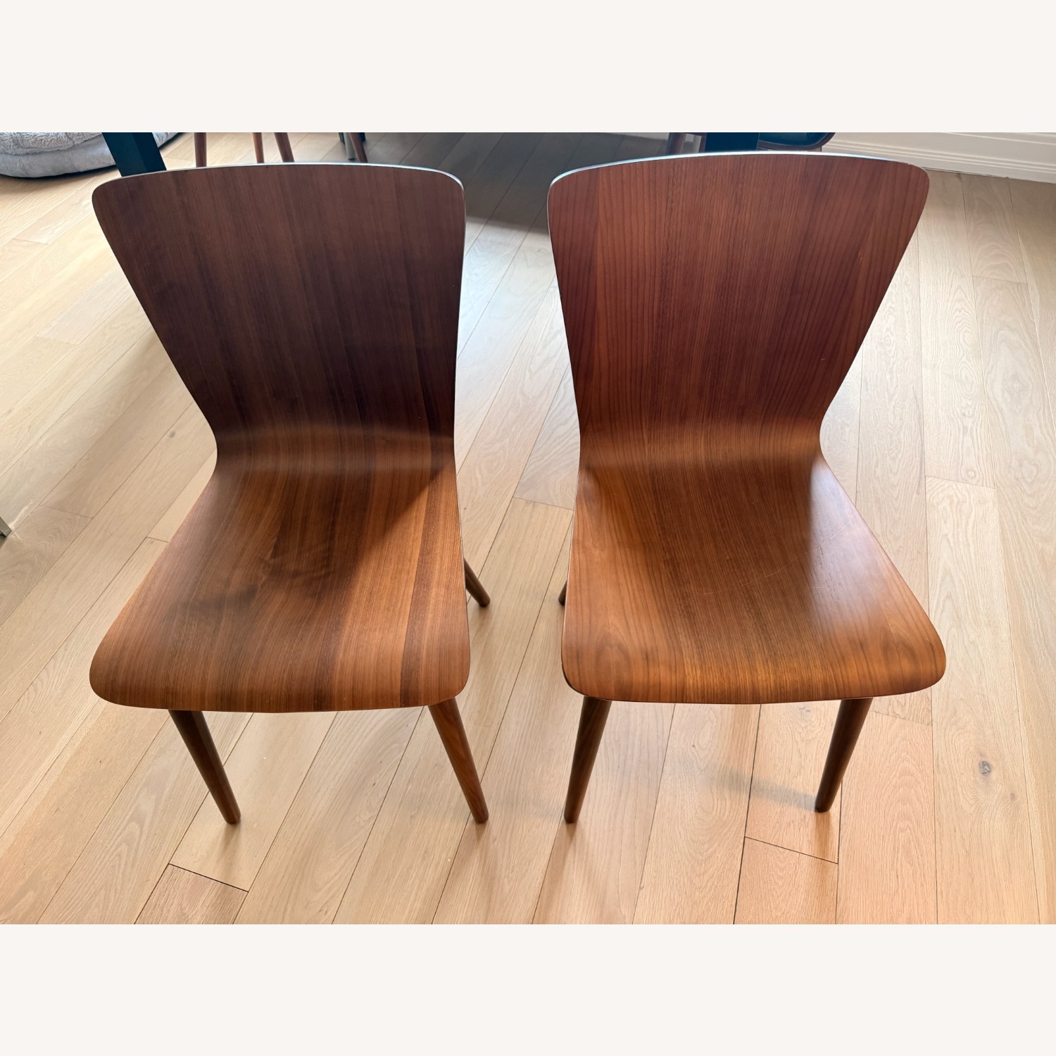  Article Sede Dining Chairs in Walnut - image-2