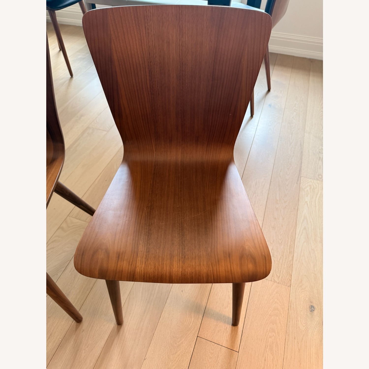  Article Sede Dining Chairs in Walnut - image-3
