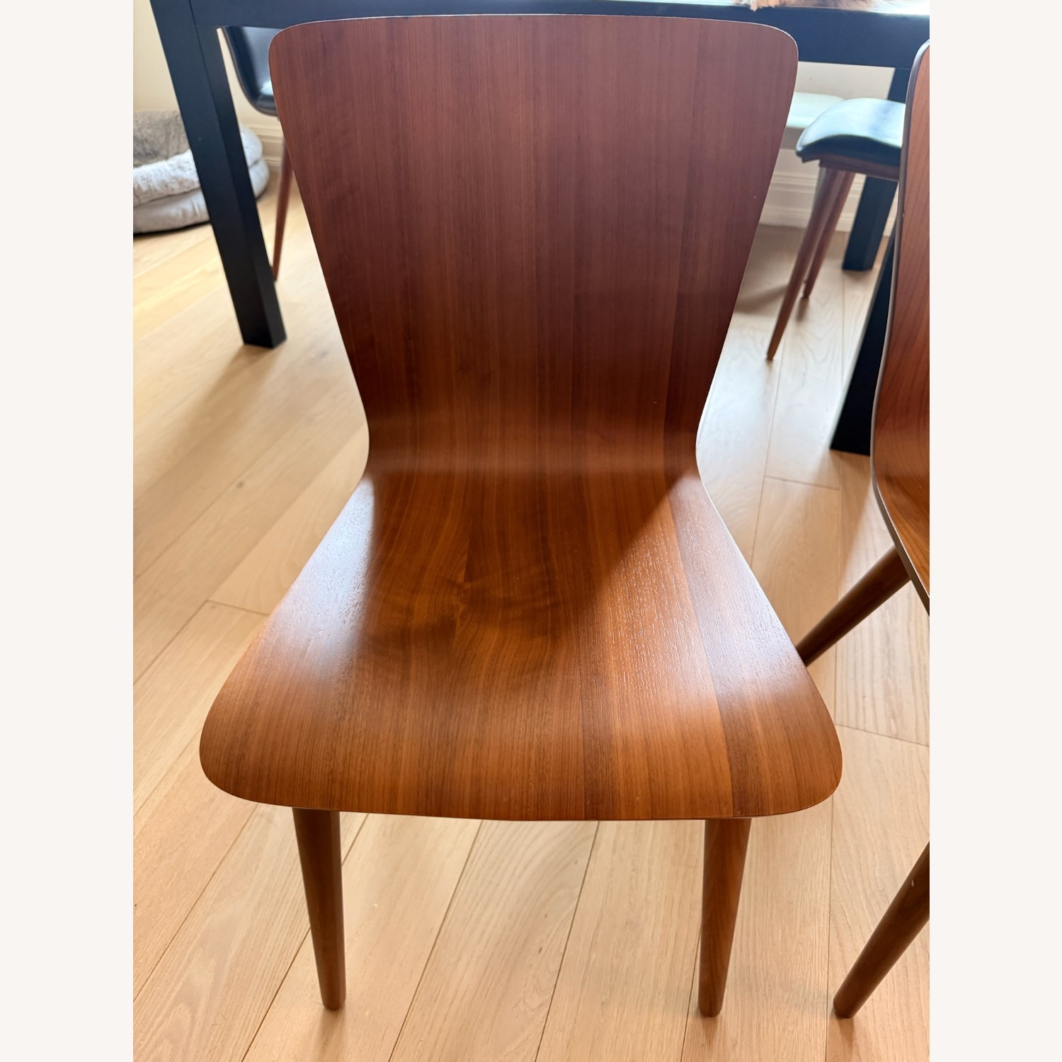  Article Sede Dining Chairs in Walnut - image-4