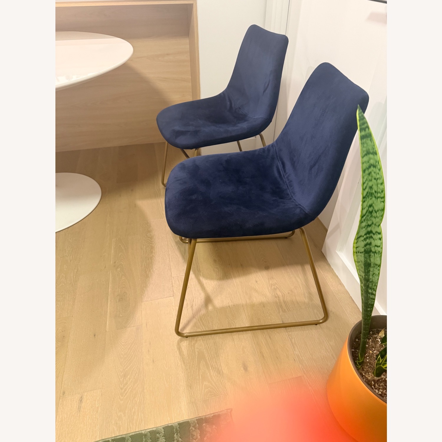 Wayfair Flomaton Blue Velvet Dining Chairs - image-2