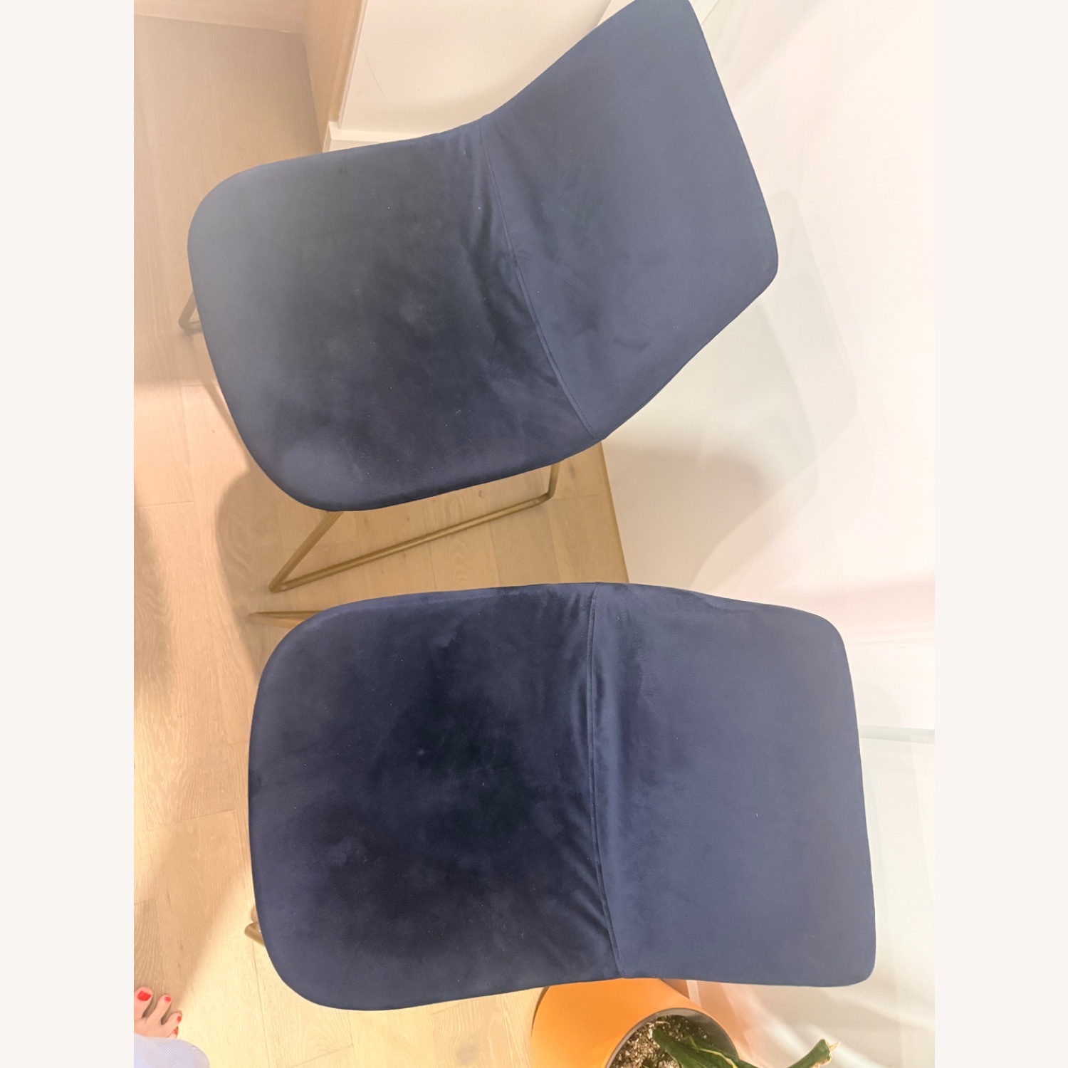 Wayfair Flomaton Blue Velvet Dining Chairs - image-3