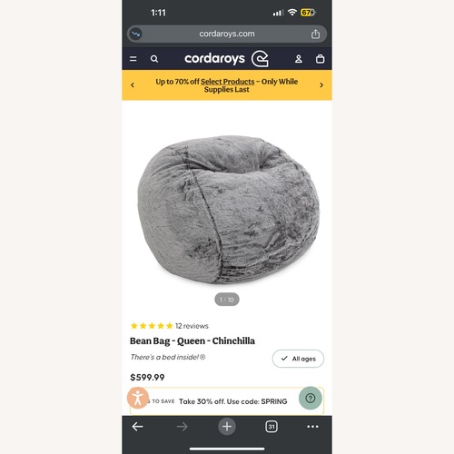 Used Mattress Stuffed Bean Bag  for sale on AptDeco