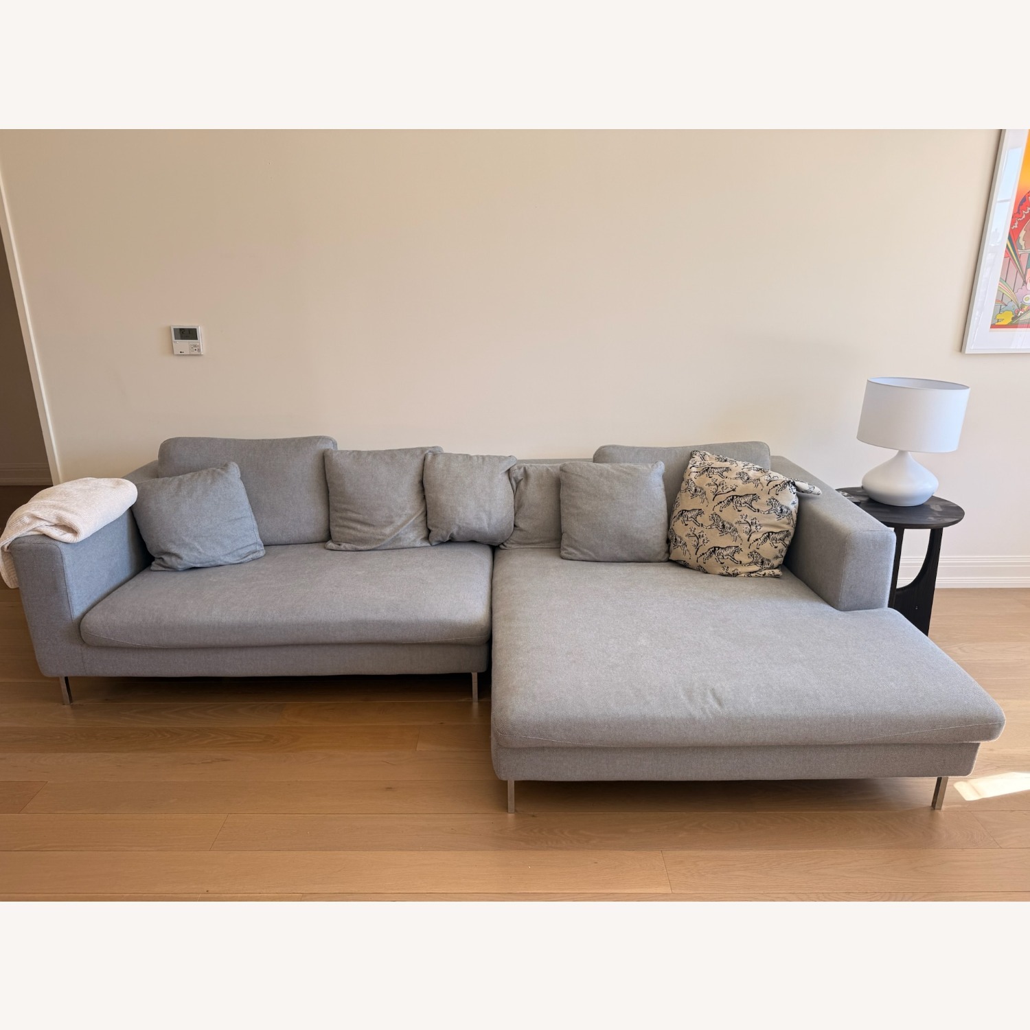Rove Concepts Light Gray Hugo Sectional - image-4