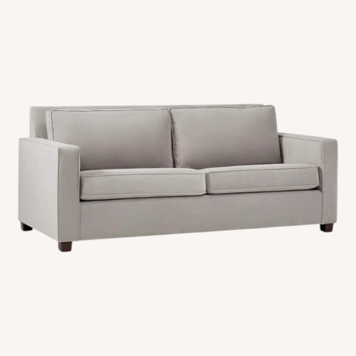 Used West Elm Light Gray Velvet Sleeper Sofa for sale on AptDeco