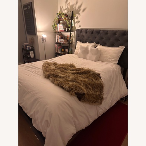 Used Baxton Studio Candace Dark Gray Velvet Queen Bed for sale on AptDeco