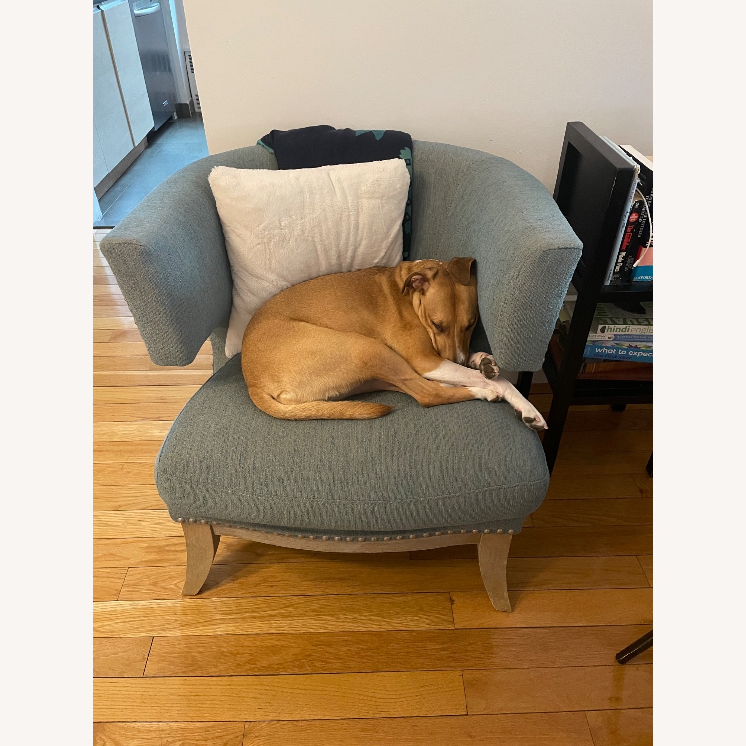 Coaster Fine Furniture Teal Accent Chairs - image-2