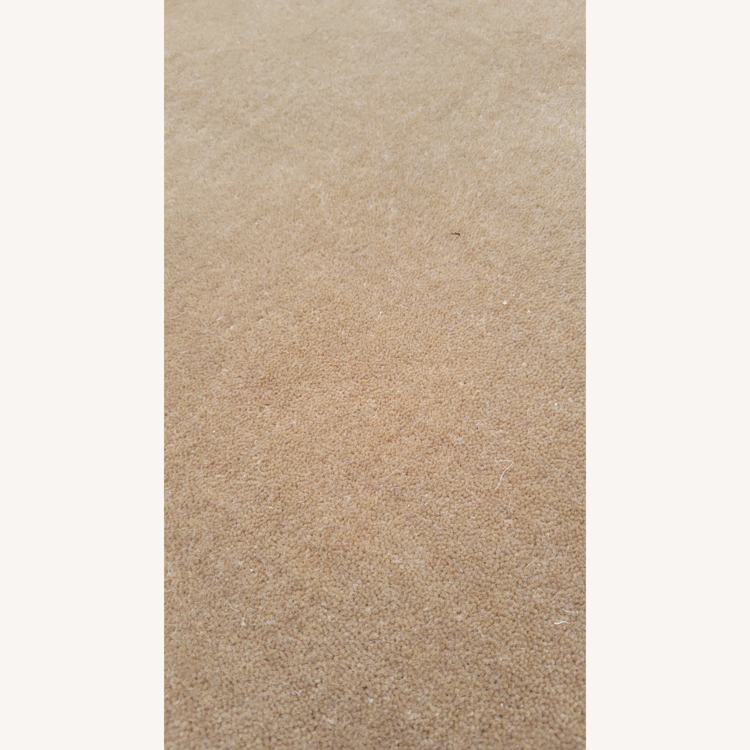 Nordic Knots Area Rug 9' x 12' - image-4