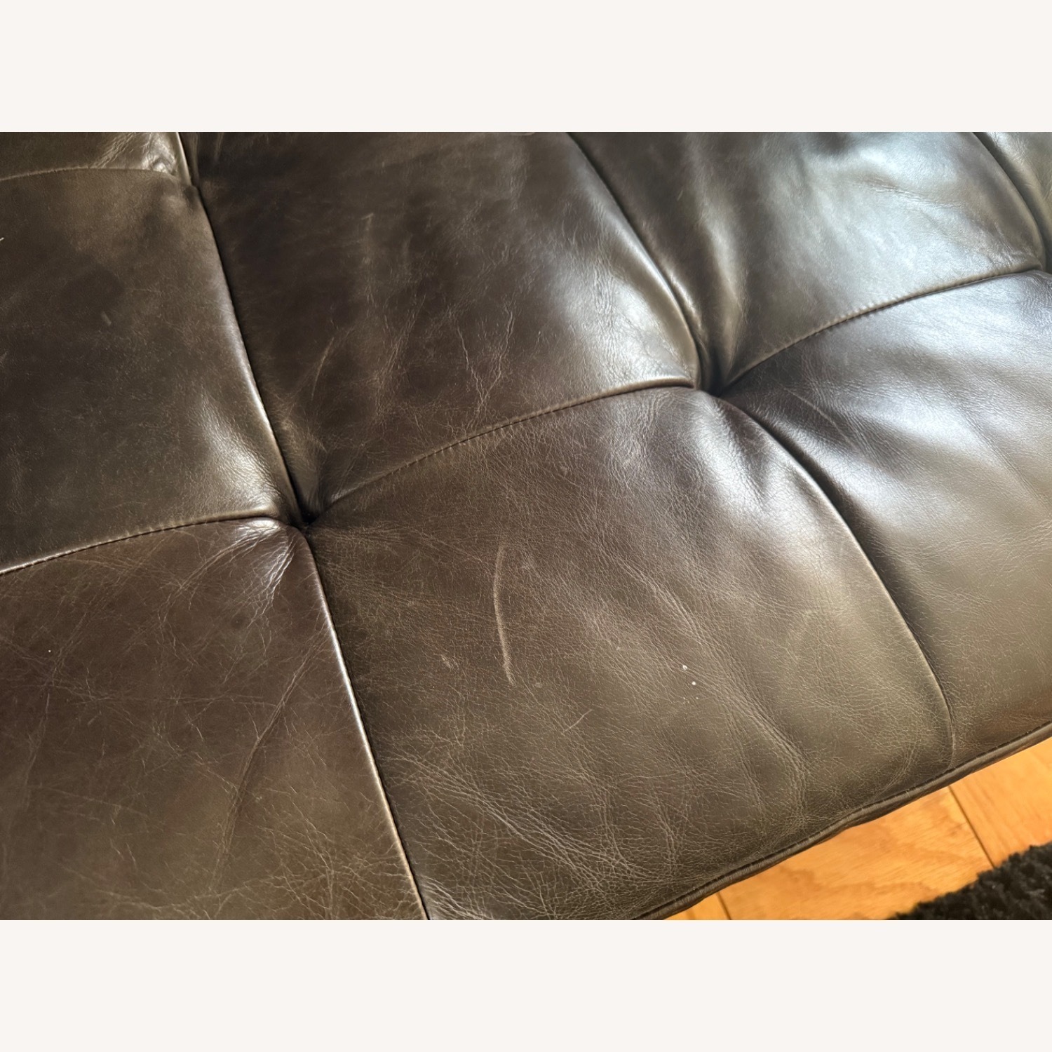 Gus Modern Towne 2 Seater Sofa - image-4