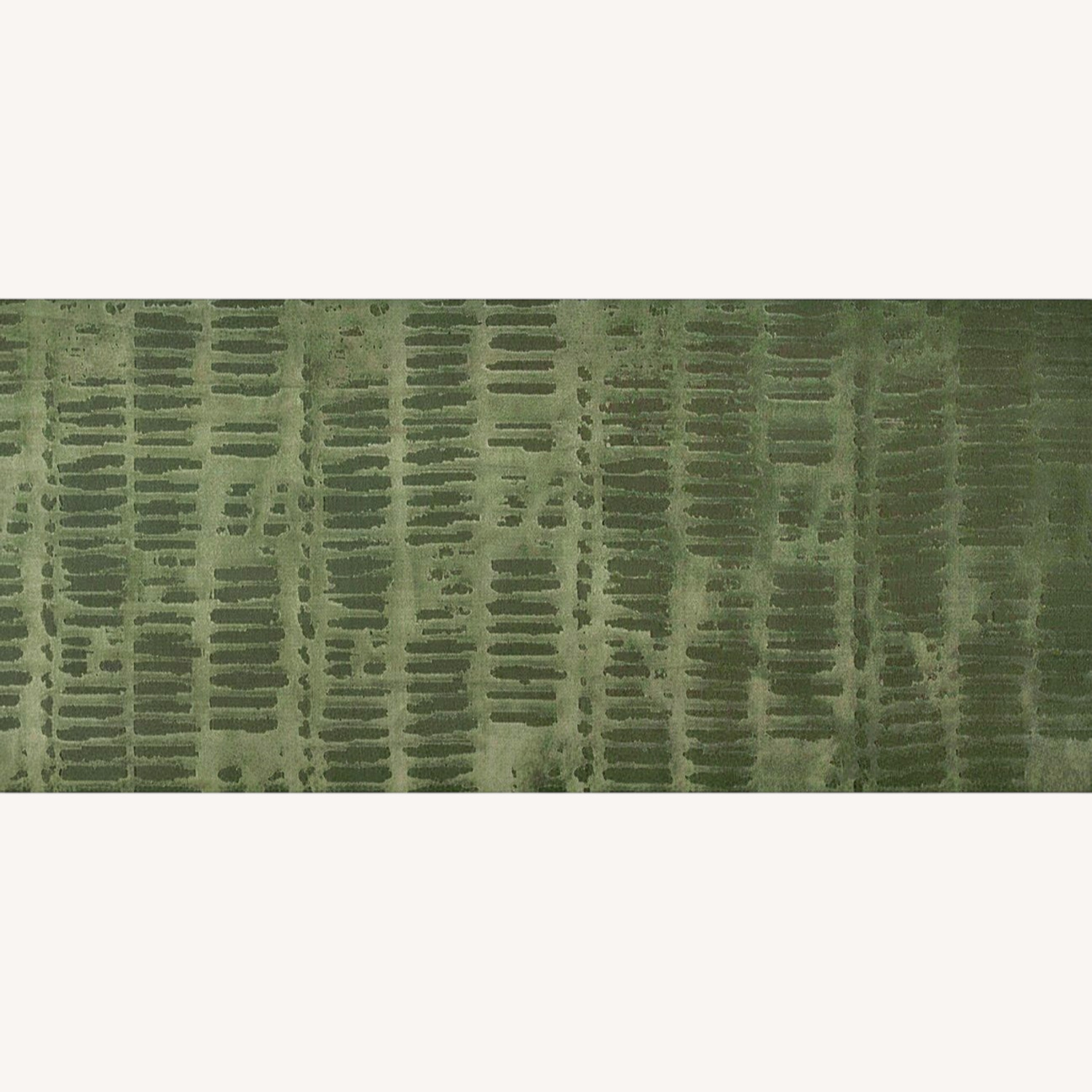 Revival Washable Rug in Evergreen 5' x 8' - image-0
