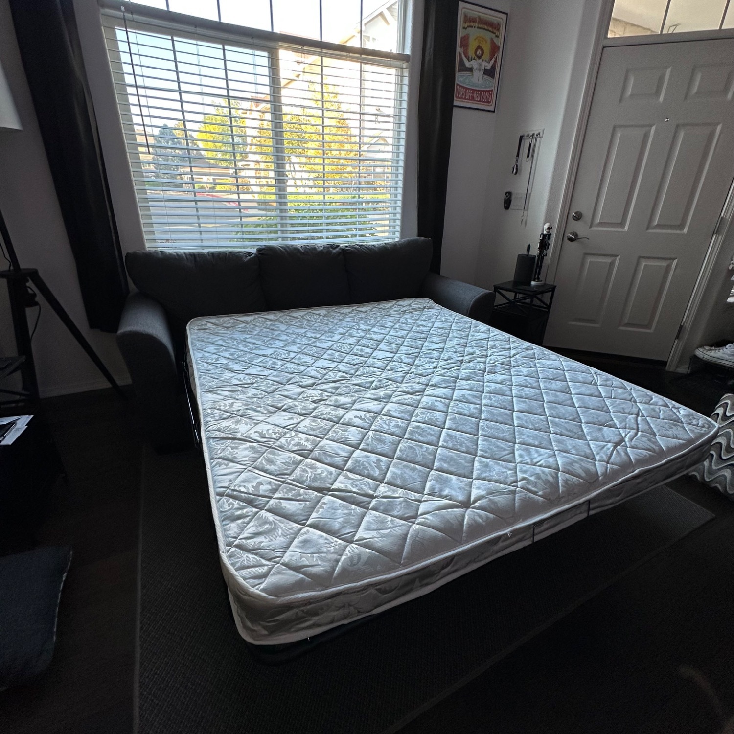 Sleeper Sofa with Queen Mattress - image-6