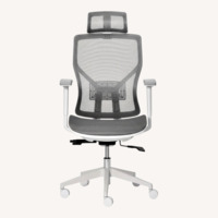 Ergonomic Mesh Swivel Task Chair, Light Gray 