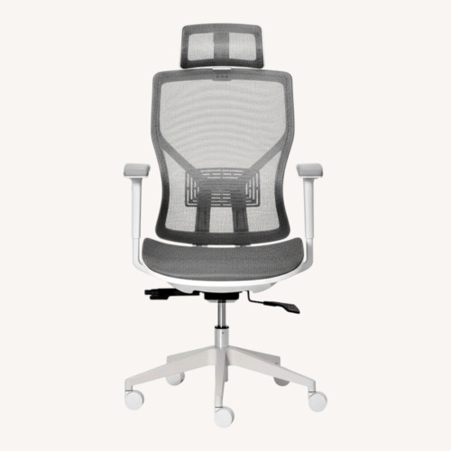 Used Ergonomic Mesh Swivel Task Chair, Light Gray  for sale on AptDeco