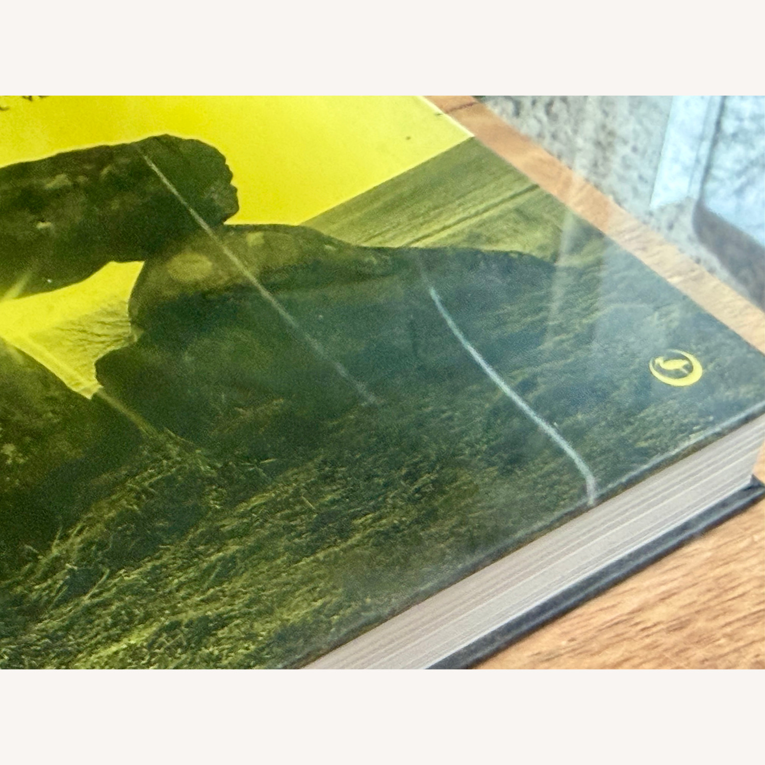 West Elm Box Frame Storage Coffee Table - image-5