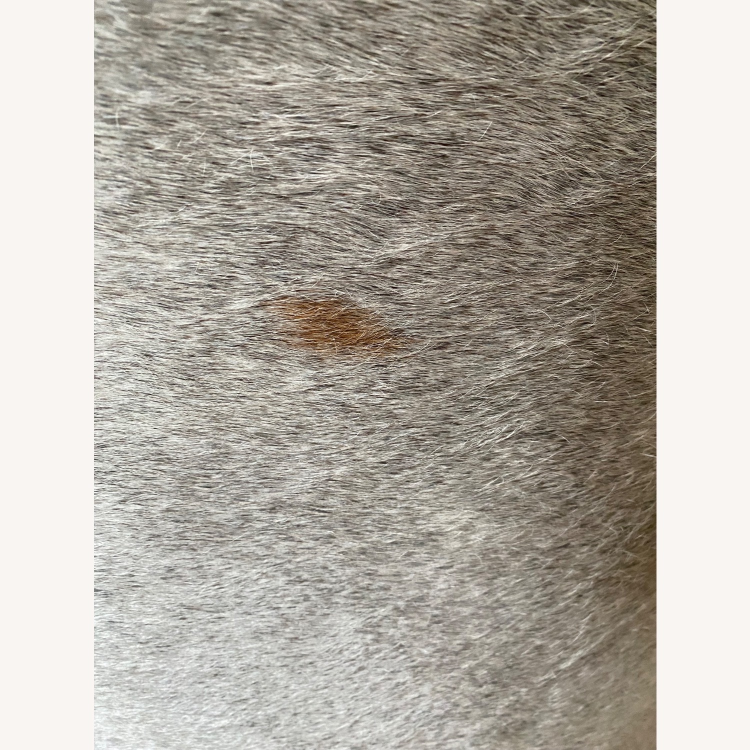 Arhaus Camden Brown Leather and Hair on Hide Accent Chair - image-13