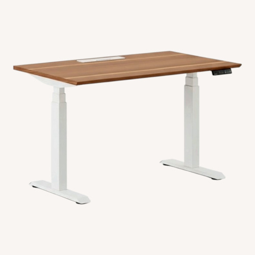 Used Branch Adjustable Standing Desk for sale on AptDeco