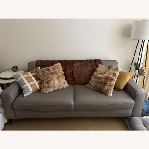 Used Natuzzi Capriccio Sofa Bed  for sale on AptDeco