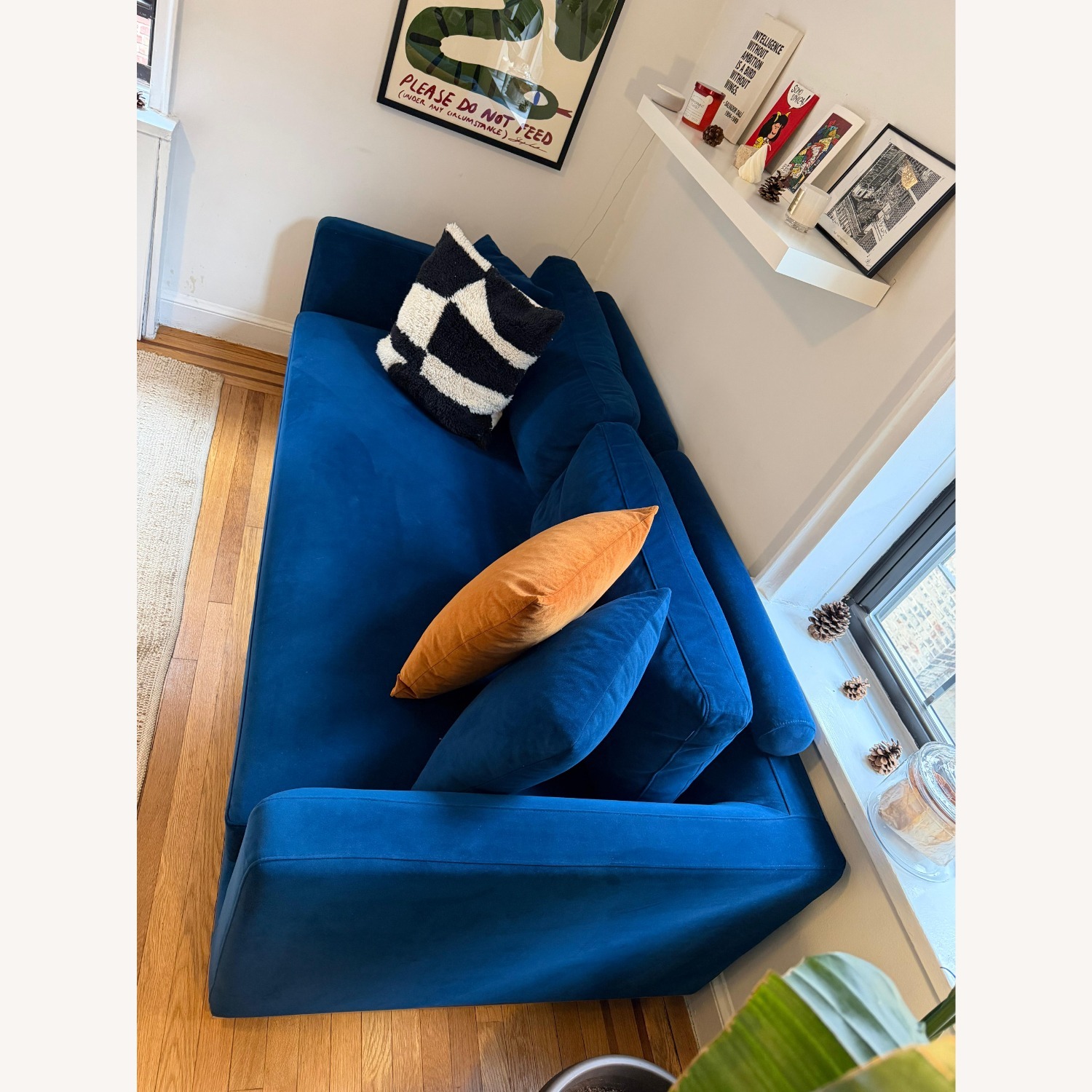 Rove Concepts Milo Blue Velvet Sleeper Sofa - image-3