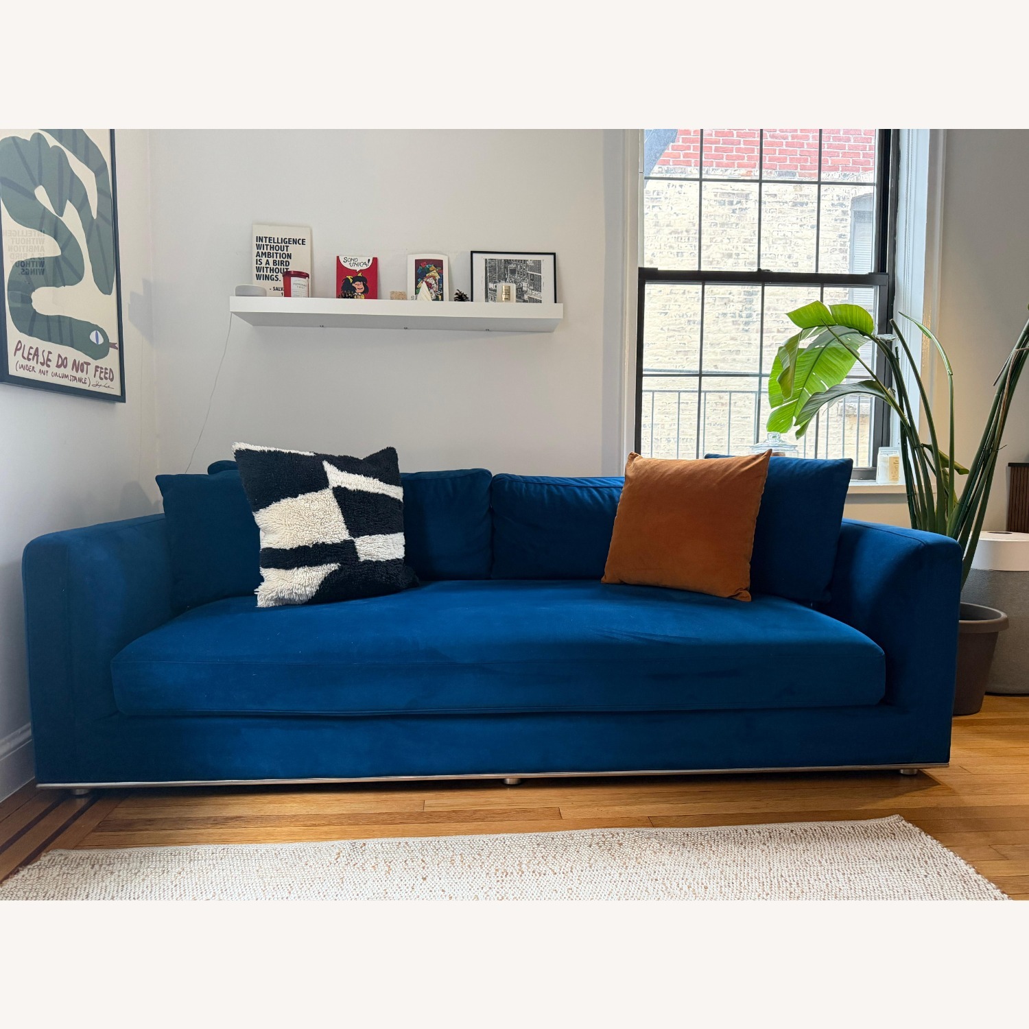 Rove Concepts Milo Blue Velvet Sleeper Sofa - image-1