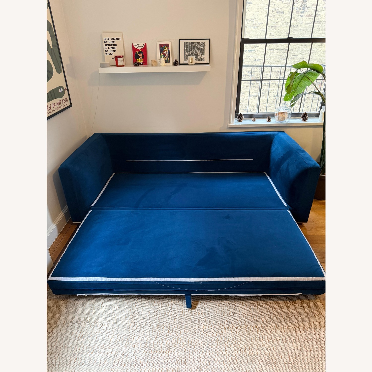 Rove Concepts Milo Blue Velvet Sleeper Sofa - image-2