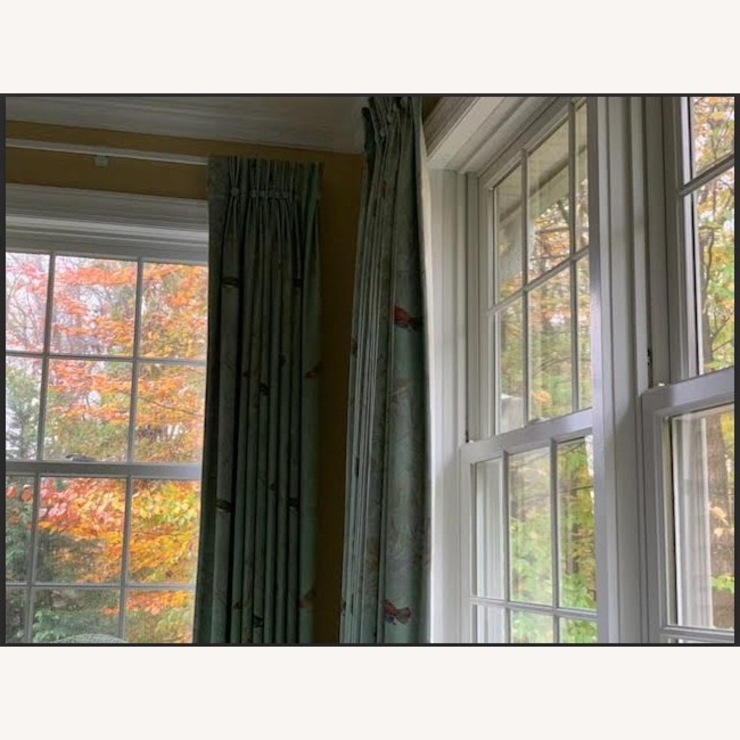 Elegant Sage Green Drapes-Bird Pattern 87” L, 29”W - image-1