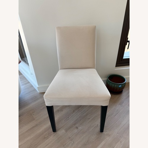Used  Room & Board Peyton Dining Chairs Velvet for sale on AptDeco