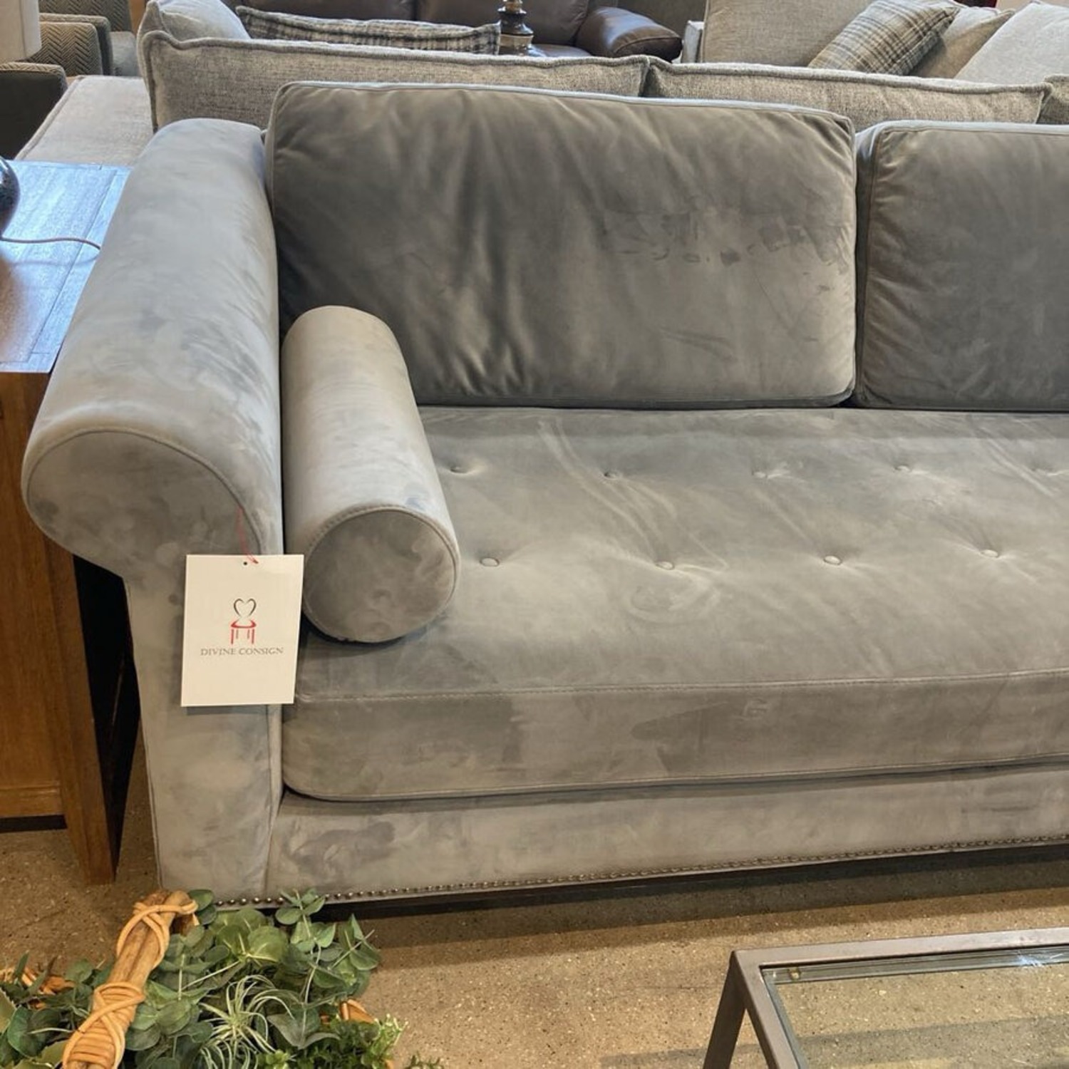 Roy's Furniture Velour Single Cushion Tufted Sofa - image-3