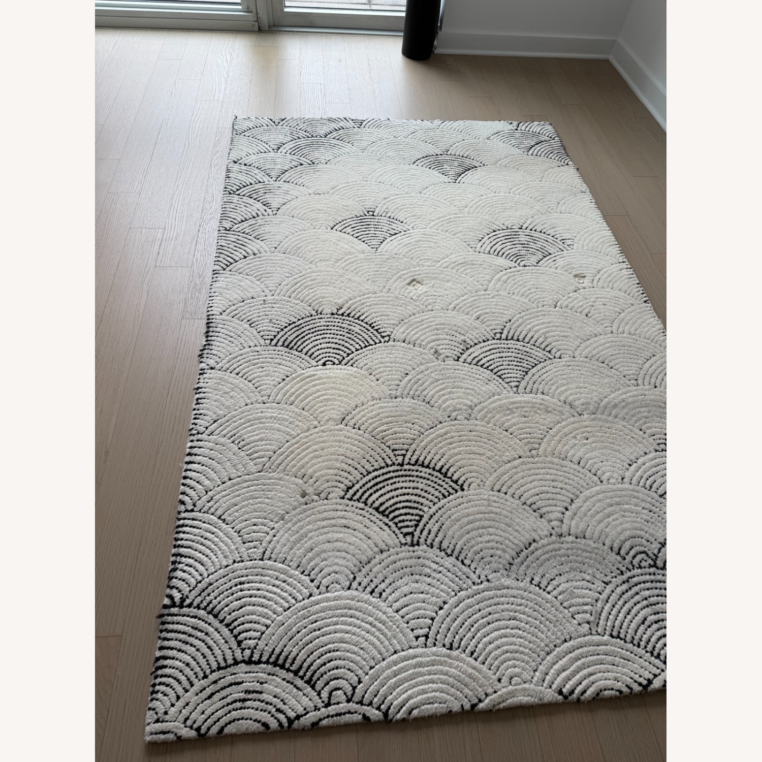 CB2 Black and White Flutter Rug - image-1