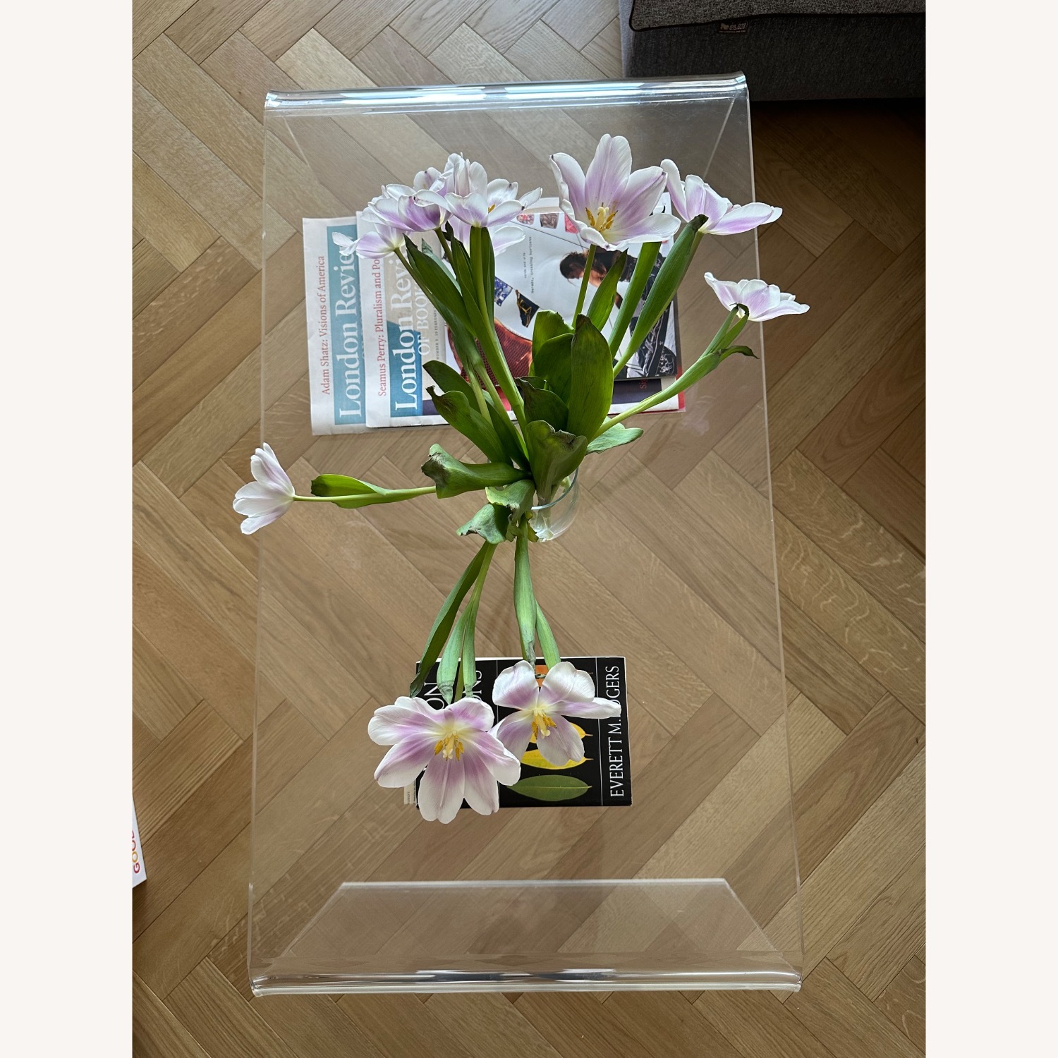 CB2 Peekaboo 44" Acrylic Tall Coffee Table - image-2