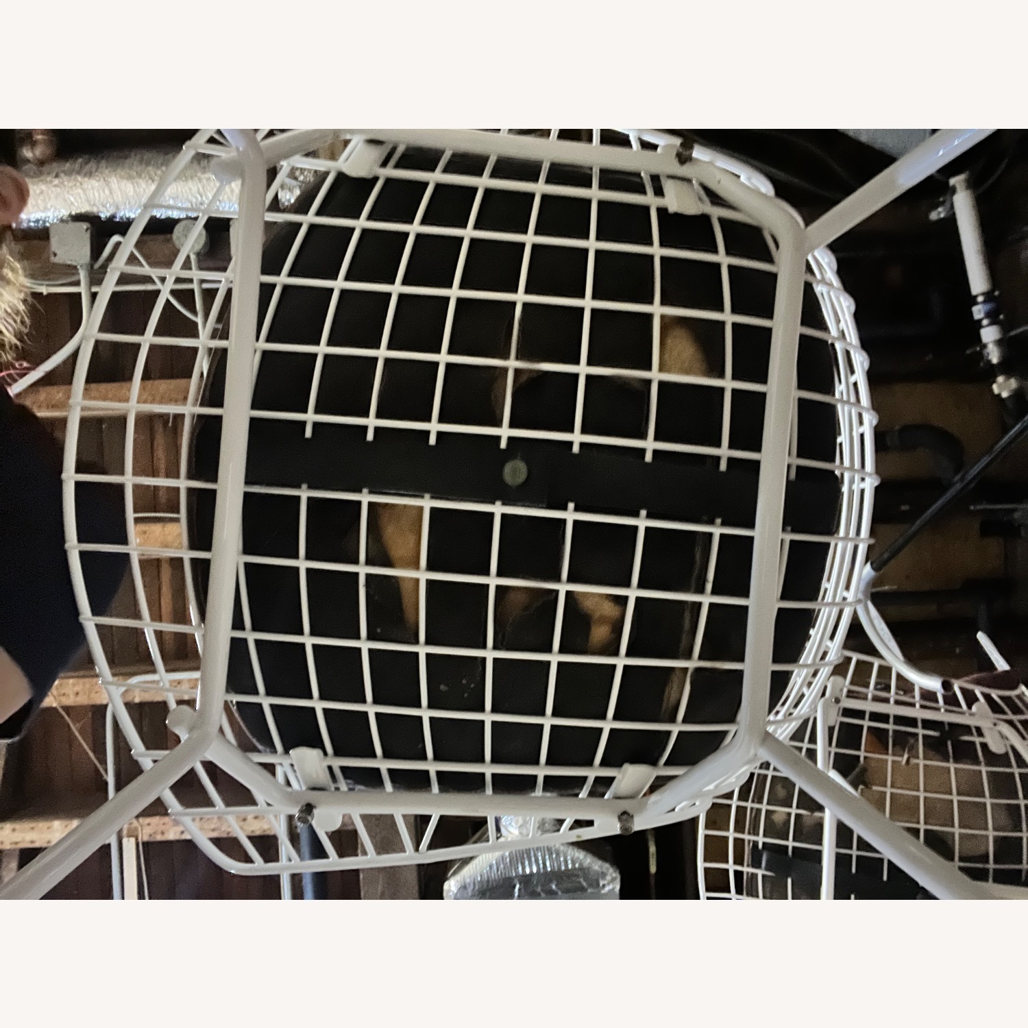 Henry Bertoia Side Chair  - image-4