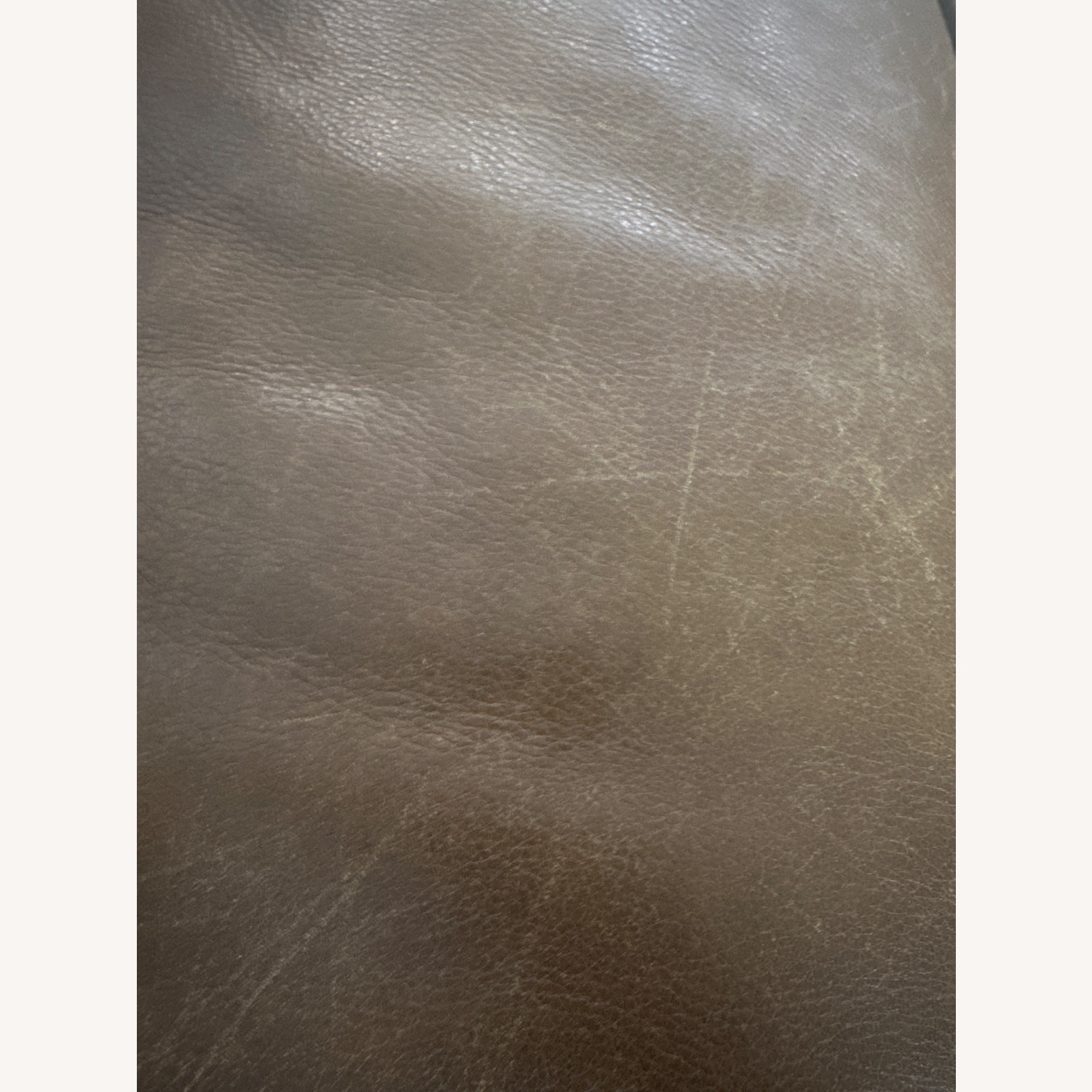 Mid-Century Modern Curved 3+ Seater Sofa - image-4