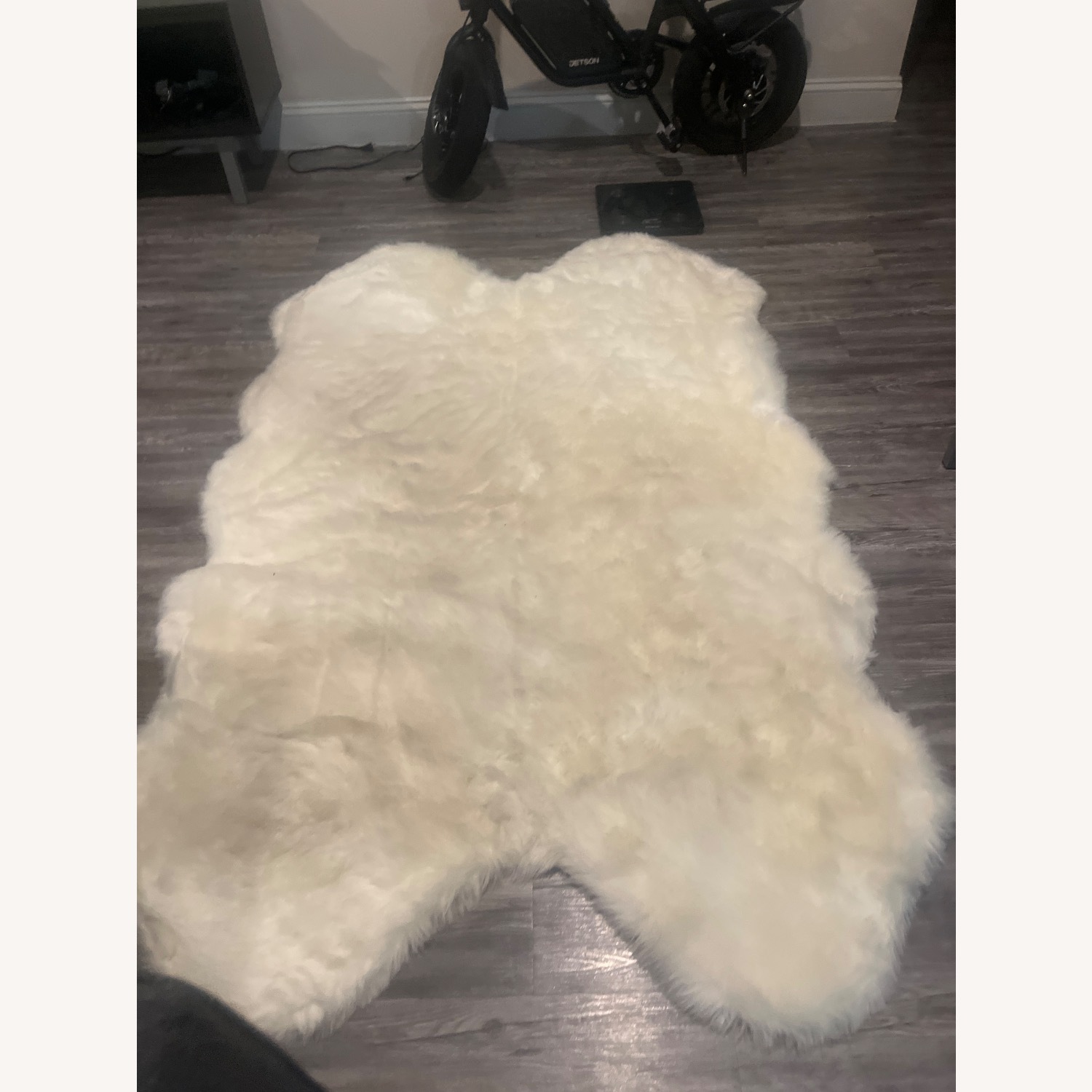 World Market Rug  - image-2