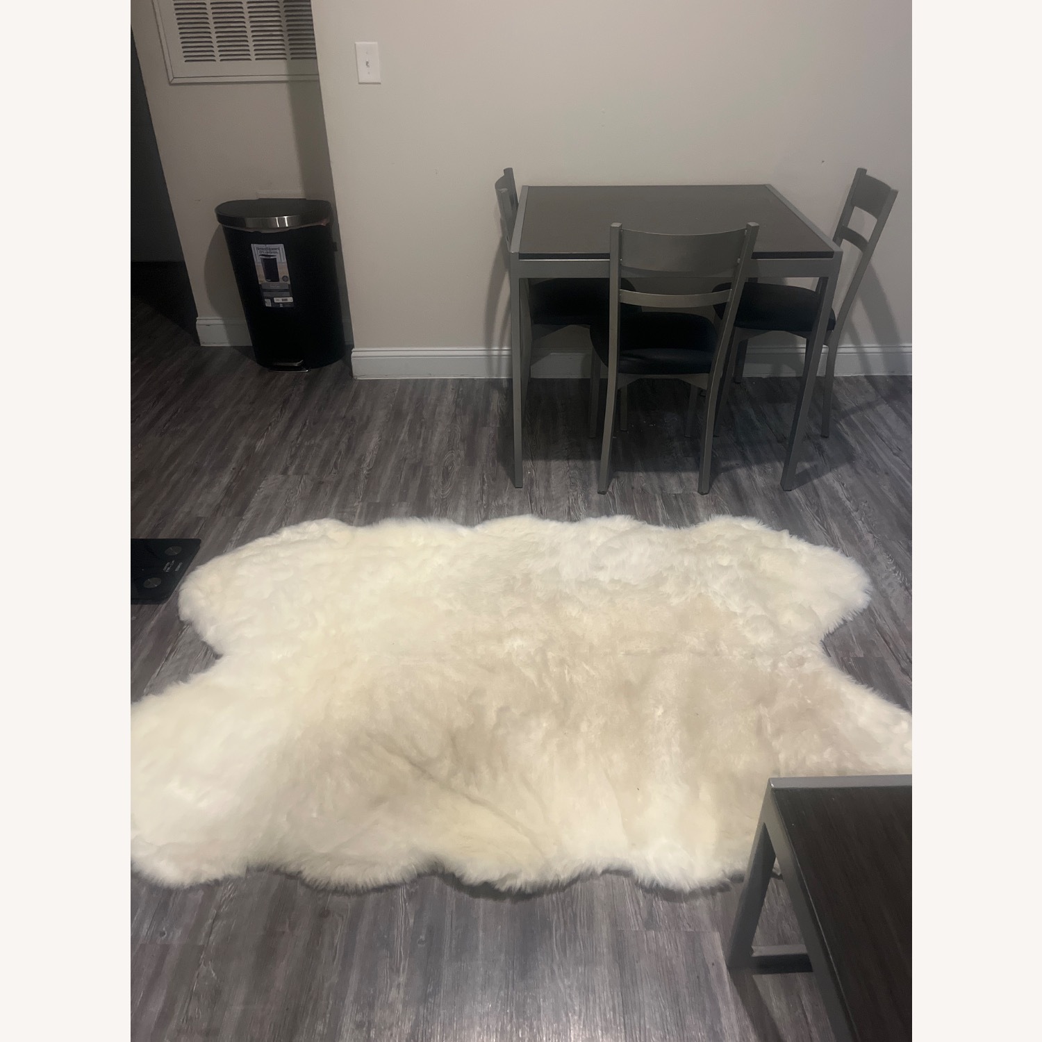 World Market Rug  - image-3