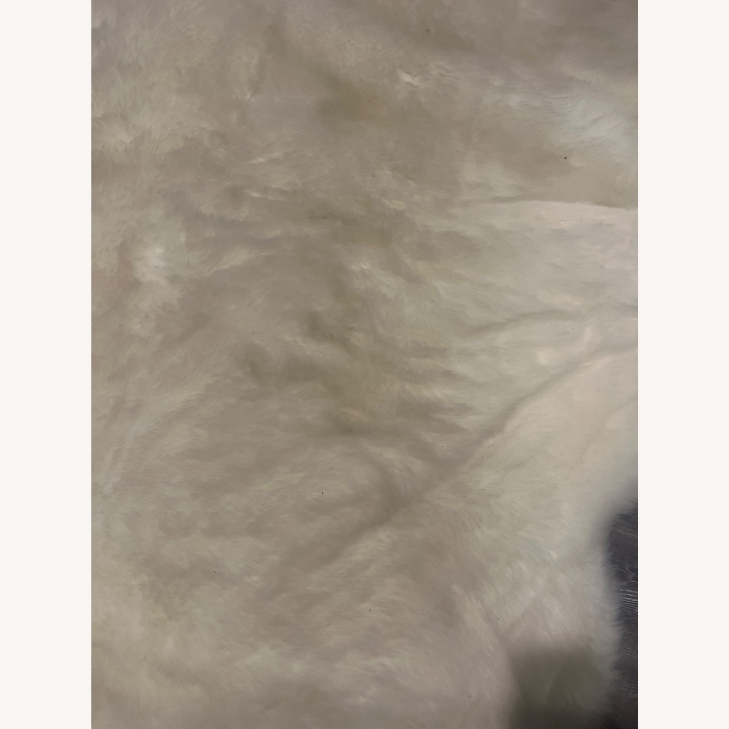 World Market Rug  - image-4