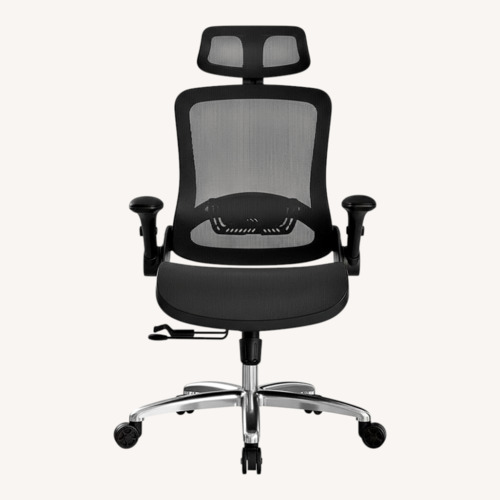 Used Hbada Ergonomic Office Chair for sale on AptDeco