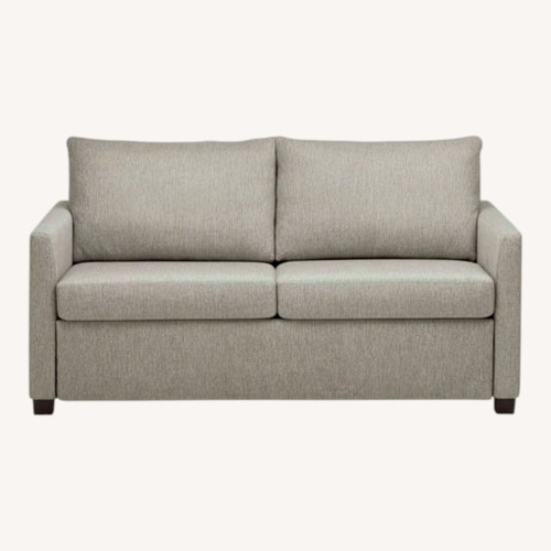 Used Room & Board Allston Light Gray Fabric Sleeper Sofa for sale on AptDeco